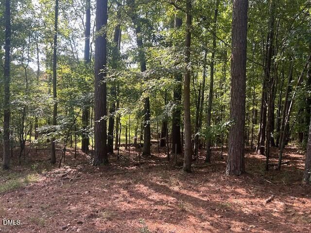 2510 Tody Goodwin Road, Apex, NC 27502