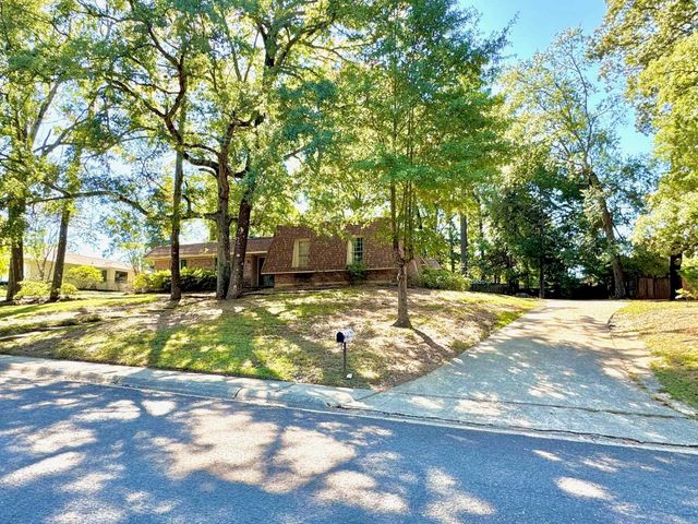 163 Glenwood Drive, Monticello, AR 71655