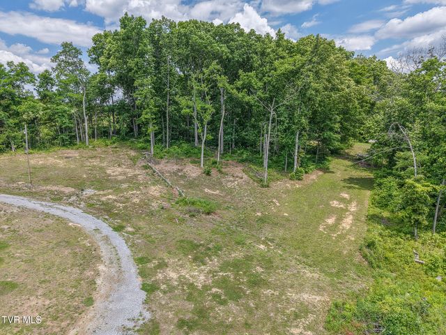 306 Hurley Lane, Mohawk, TN 37810