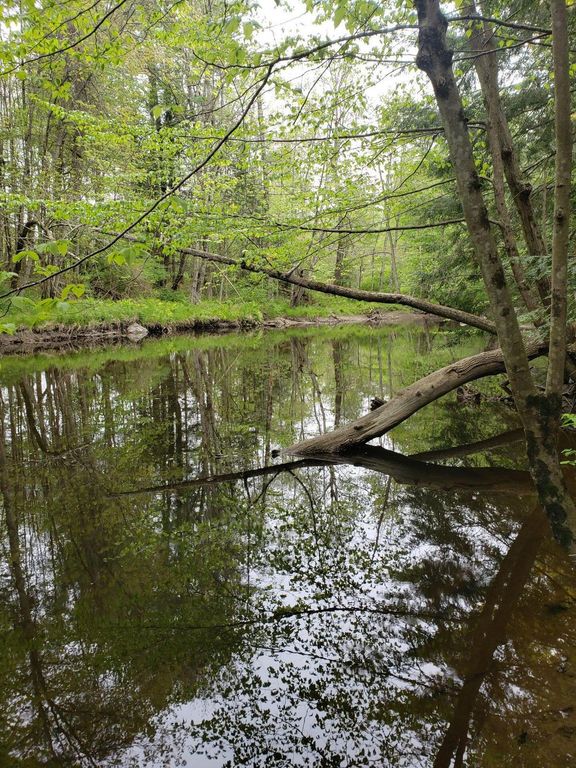 0 Hall Road, Windham, ME 04062 — photo 2