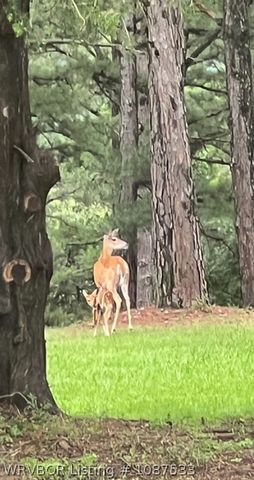 3820 Wylie Road, Poteau, OK 74953