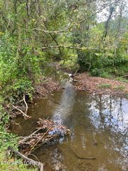 6116 Paint Rock Rd, Oneida, TN 37841