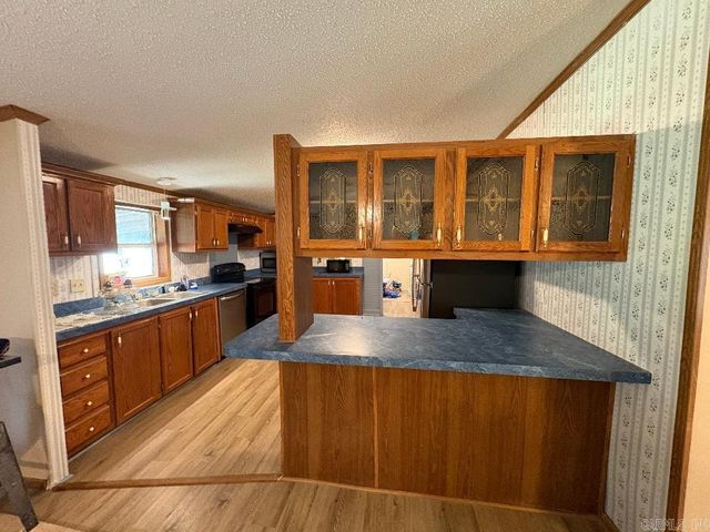 234 Candy Lane, Austin, AR 72007