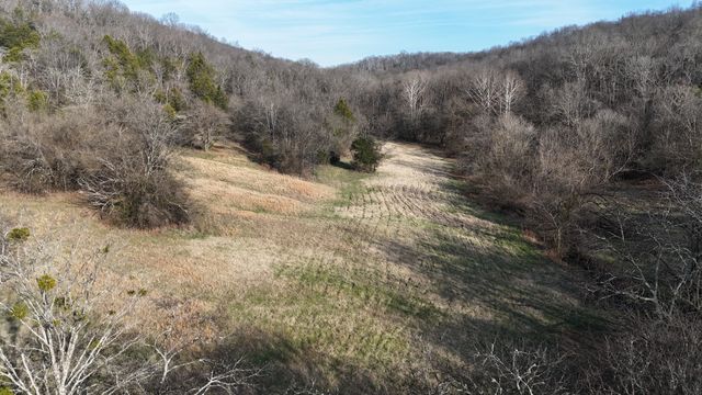 186 Aggie Perry Rd, Bethpage, TN 37022