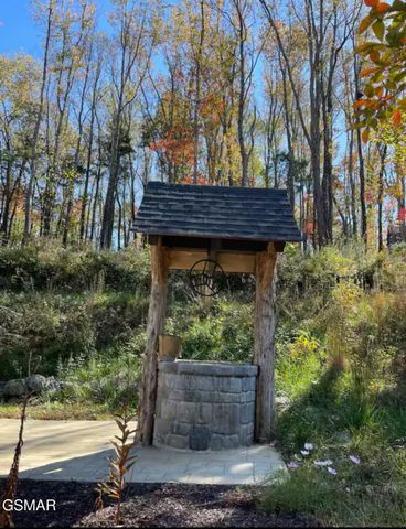 970 Douglas Dam Road, Kodak, TN 37764