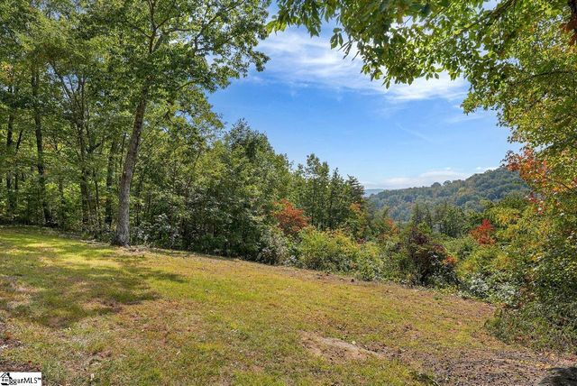 100 Eagle Rock Road, Landrum, SC 29356