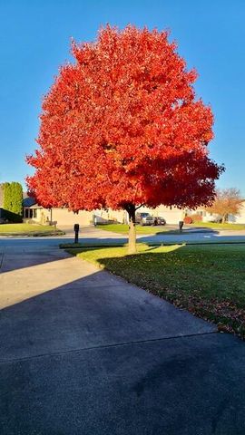 6827 Falcon Drive, Schererville, IN 46375