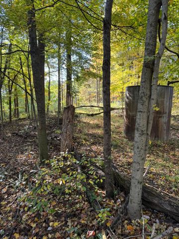 9600 Larimer Road, Logan, OH 43138