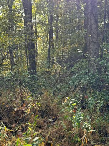 9600 Larimer Road, Logan, OH 43138