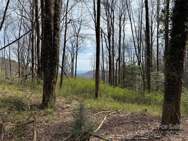 L8 Black Bear Court, Sapphire, NC 28774