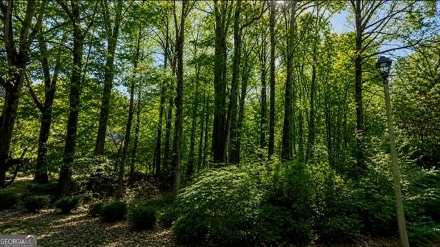 3826 Carriage Gate Drive, Duluth, GA 30096