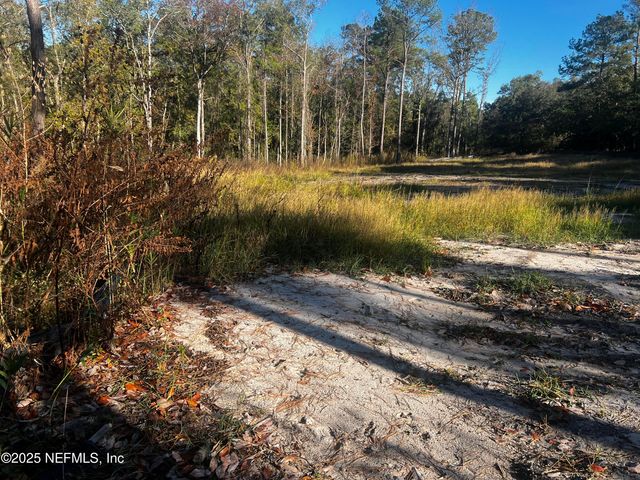 4819 SEDGE Street, Middleburg, FL 32068