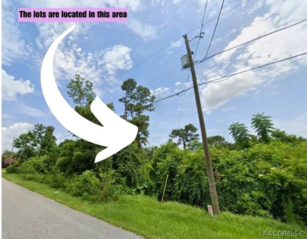 1115 & 1119 S COOPER Drive, Deltona, FL 32725