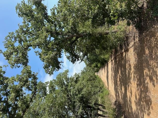 000 Edgewood Trail RD A, Paige, TX 78659