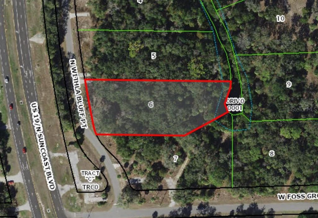 11043 N WITHLA BLUFF POINT, Inglis, FL 34449