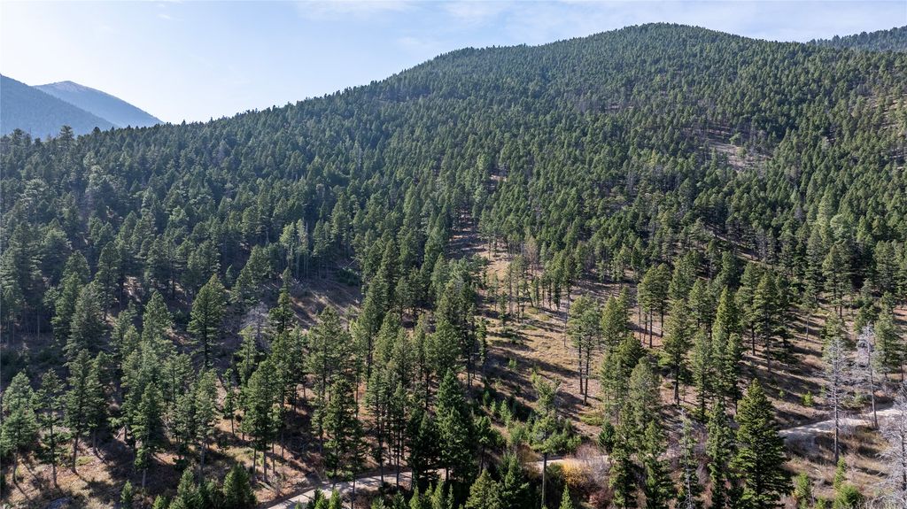 4440 Woods Creek Road, Wolf Creek, MT 59648 photo 4