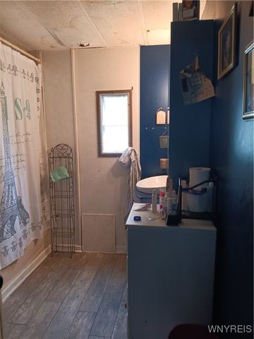 97 Bush Gardens Street, Alden, NY 14004