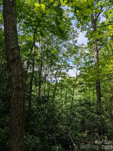 000 Pisgah Highway, Candler, NC 28715