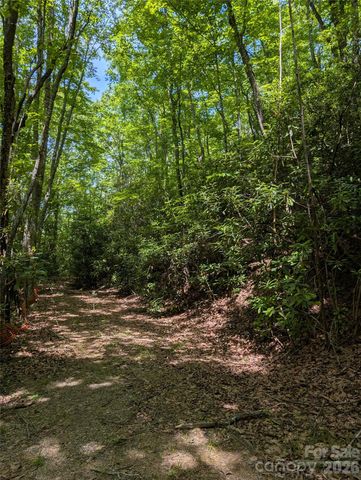 000 Pisgah Highway, Candler, NC 28715