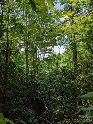 000 Pisgah Highway, Candler, NC 28715