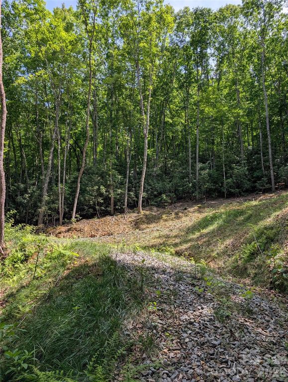 000 Pisgah Highway, Candler, NC 28715
