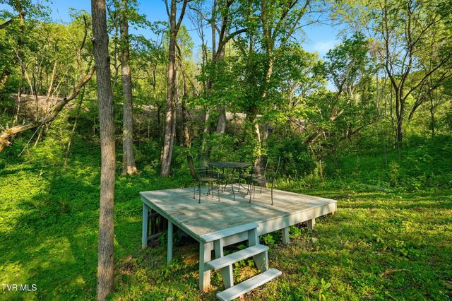 251 Charleston Street, Weber City, VA 24290