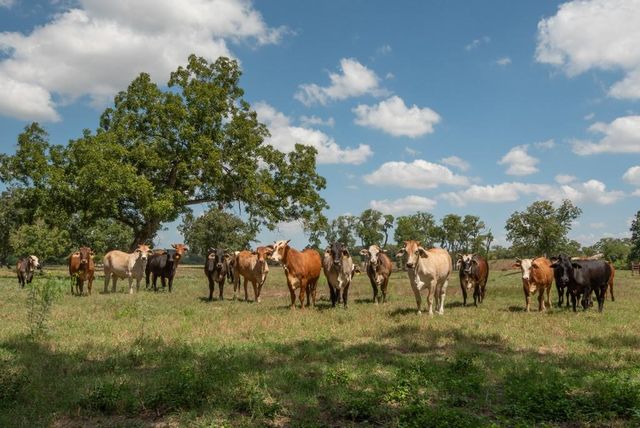 6887 Von Ormy Road, Von Ormy, TX 78073
