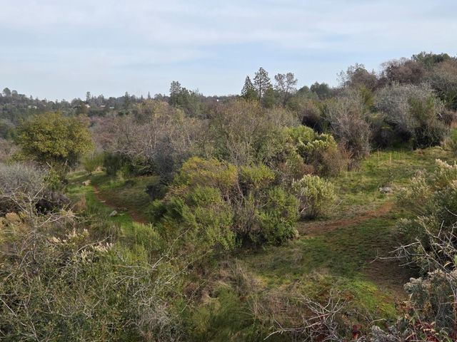 10428 Riffle Box Rd, Rough And Ready, CA 95975