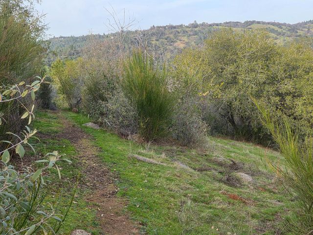 10428 Riffle Box Rd, Rough And Ready, CA 95975