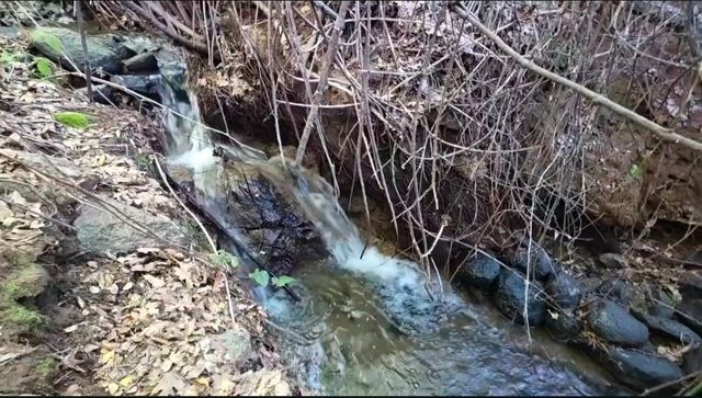 10428 Riffle Box Rd, Rough And Ready, CA 95975