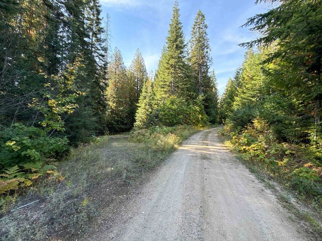 1579 Hershaw Rd, Newport, WA 99156