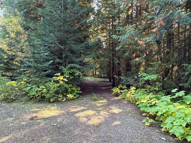 1579 Hershaw Rd, Newport, WA 99156