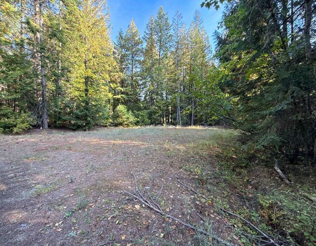 1579 Hershaw Rd, Newport, WA 99156
