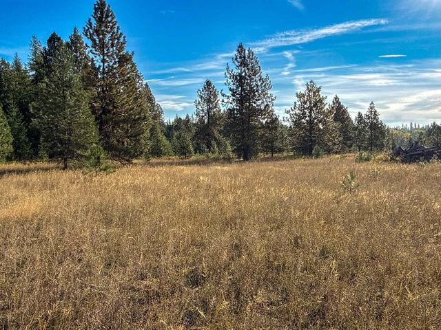 1579 Hershaw Rd, Newport, WA 99156