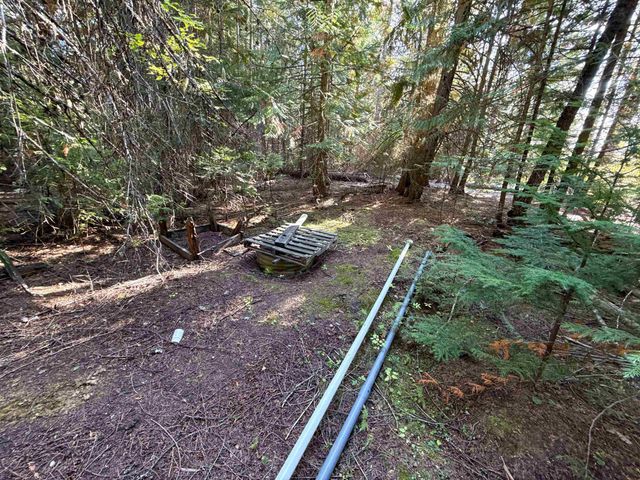 1579 Hershaw Rd, Newport, WA 99156