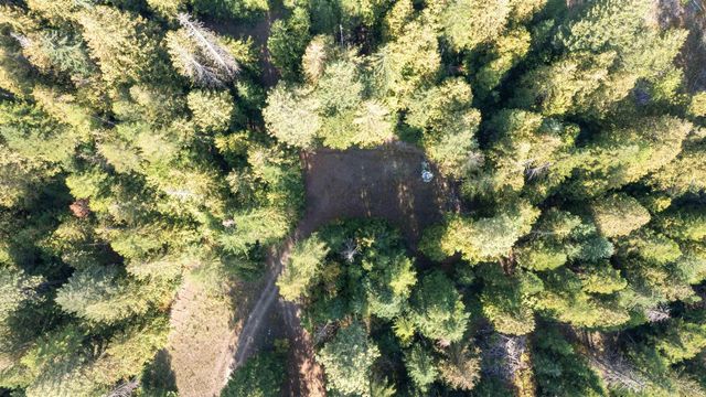 1579 Hershaw Rd, Newport, WA 99156