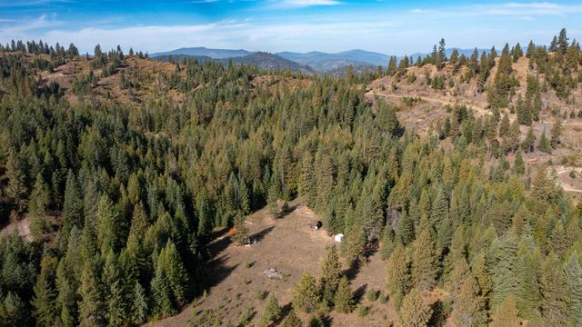 1579 Hershaw Rd, Newport, WA 99156