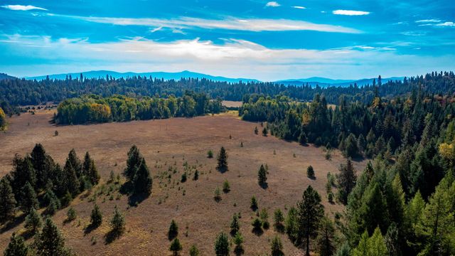 1579 Hershaw Rd, Newport, WA 99156