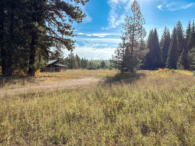 1579 Hershaw Rd, Newport, WA 99156