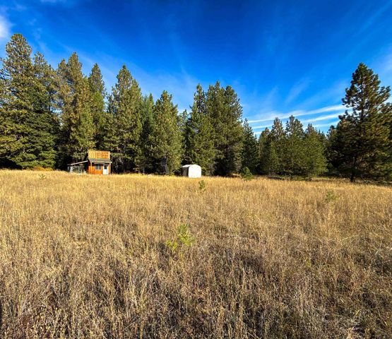 1579 Hershaw Rd, Newport, WA 99156