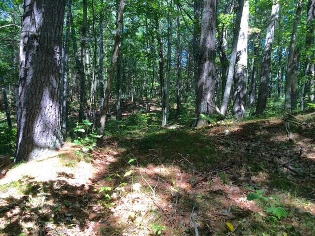 265 Webber Hill Road, Kennebunk, ME 04043 — photo 3