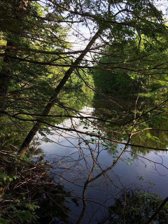 265 Webber Hill Road, Kennebunk, ME 04043 — photo 4
