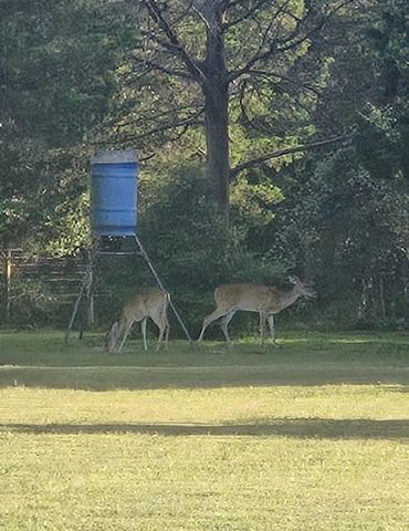 18354 Deerview Lane, New Ulm, TX 78950