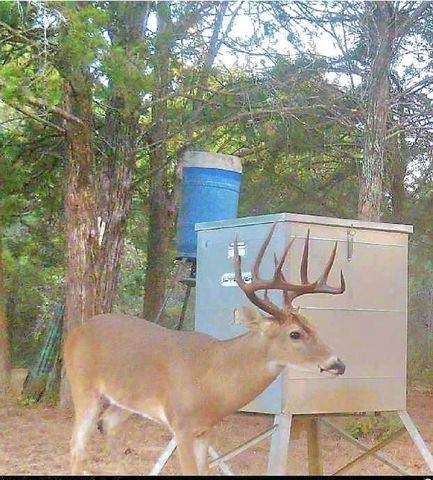 18354 Deerview Lane, New Ulm, TX 78950