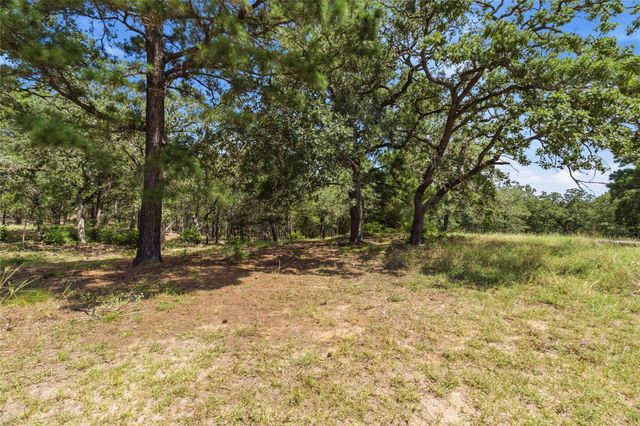 7921 Vista Ranch RD, Smithville, TX 78957