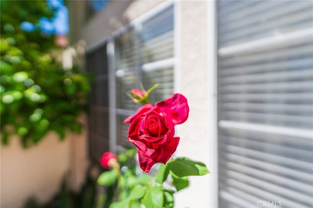 38 Carnation, Rancho Santa Margarita, CA 92688