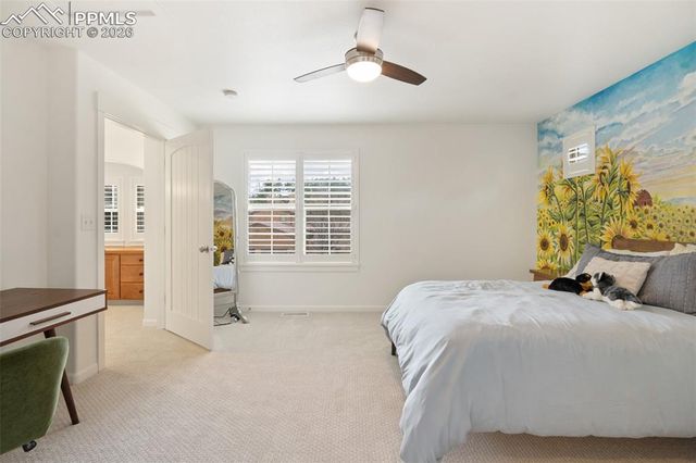 1868 La Bellezza Grove, Colorado Springs, CO 80919