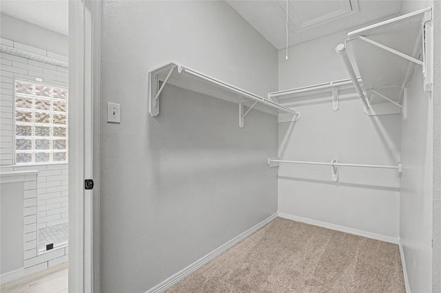 7822 Mary Katheryns Crossing, Conroe, TX 77304