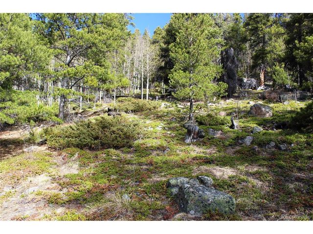 4 Lamertine Rd, Idaho Springs, CO 80452
