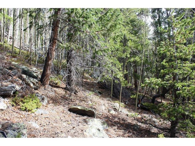 4 Lamertine Rd, Idaho Springs, CO 80452